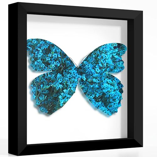 Picrit 30,5 x 30,5 cm schwarzer Holzrahmen, 3 cm tief, gehärtetes Glas
