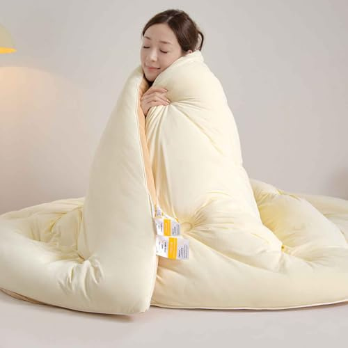 YWQJL Trapunta Invernale in Fibra di Soia, Piumone Invernale Spesso, Coperta Molto Calda E Super Morbida per 2 Persone, Trapunta in Microfibra, Piumone Trapuntato Reversibile(B,220 * 240cm/3.25kg)