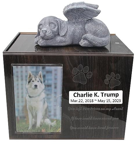 Urnes funéraires en acrylique pour animal domestique avec cadre photo et sac à cendres, boîte souvenir souvenir avec doublure en flanelle noire, cadeau commémoratif pour animal de compagnie