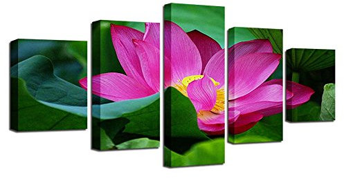 RFCKMIRZ Mehrteilige Wandbilder Lotus Kunstdruck 5 Teilige Bilder Modern Poster Gemälde M (50X25Cm)