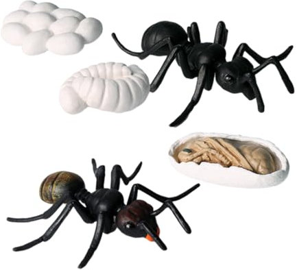 VICASKY Ameise Wachstum Lebenszyklus Figur Spielzeug Streich Lustige Neuheit Gefälschte Event Party Zubehör Pädagogisches Modell für Halloween 5 Teiliges Set Aus Künstlichen Ameisenmodellen