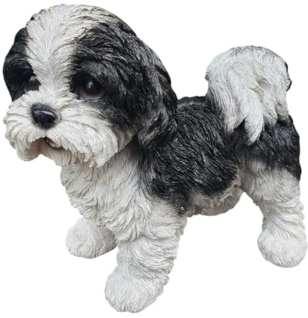 Aspinaworld Gartenfigur Shih Tzu stehend 23 cm – Hundefigur seidiges Langfell schwarz weiß, Tierfigur für den Außenbereich