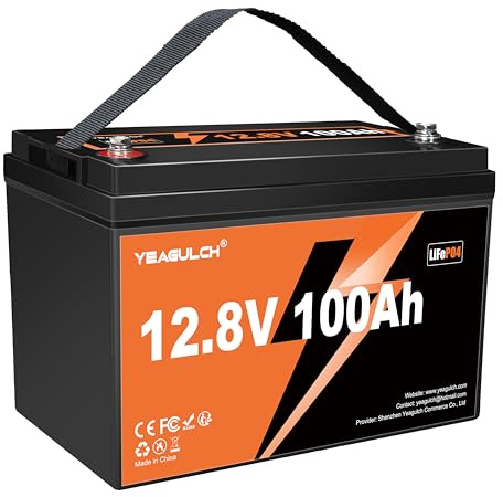 Yeagulch Batterie Lithium 12V 100Ah LiFePO4 – BMS 100A Intégré, 6000 Cycles, 1280Wh 12V Batterie LiFePO4 Rechargeable adaptée au Camping-Car, Stockage Solaire, Hors Réseau