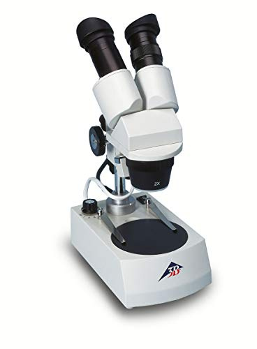 3B Scientific W30666-230 Microscopio Estéreo, 40x, Iluminación de Luz Transmitida LED, 230 V, 50/60 Hz