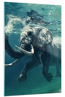 Bilder auf Glas 70x100cm Glasbild Elefant Tier Wasser Groß Wanddeko Bild im Glas Schlafzimmer Küche Deko Wandbilder Dekoration Wohnzimmer Modern Wall Decor Glasdruck Wand Kunstdruck Art GPA70x100-3944