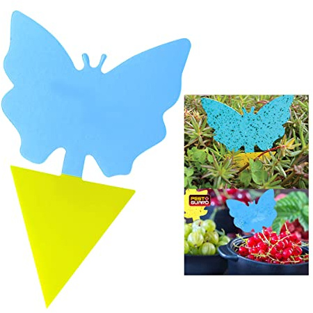 Almineez 41pc/81pc Fruit Fly Trap Fruit Fly Killer Yellow Sticky Bug Insect Killer Double-sided Insect Catcher Sticky Bug Sticky Fruit Fly Killer With Tweezer for Houseplant Indoor and Outdoor (81)