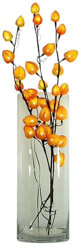 Dapo Lichterzweige Lampion mit 30 LEDs, 3 Lichter-Zweige | 0,06 Watt pro LED, Für Innen, Dekoleuchte, Dekobeleuchtung