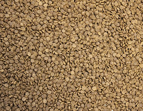 Wohnkult TOP Premium Koifutter Knoblauch in 3 mm und 6 mm 5 Liter und 10 Liter Teich Koi Goldfisch Stör (3 mm / 5 Liter)