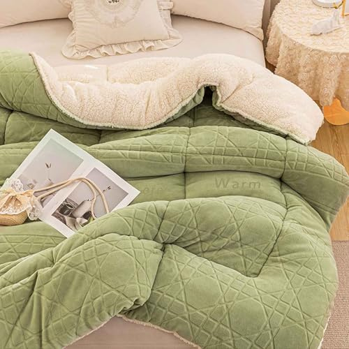 YWQJL Edredón Nórdico Reversible Edredon Plumas Colcha De Invierno Edredón De Plumas Manta De Cama Gruesa para La Piel Edredones Nordicos Invierno Colcha Cordero(#2,200x230cm/4kg)