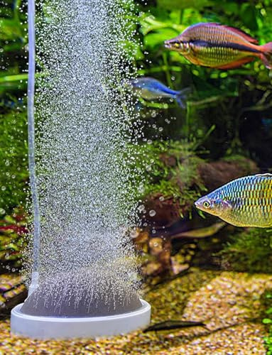 boxtech Piedra de Aire para Acuario, Piedras Acuario Oxigeno Aireador de Acuario pequeño para Burbujas de Acuario e hidroponía (100 mm)