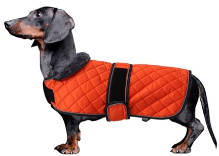 Morezi Abrigo de Invierno para Perro Salchicha Con Forro Polar Acolchado - Ropa al Aire Libre Con Bandas Ajustables - Naranja - XS