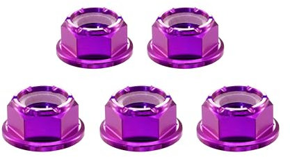 RISON-Titanium 5 Piezas M8 Tuerca de Brida Hexagonal en Titanio, Tuercas Autoblocantes con Inserción de Nylon DIN 1663, Tuerca de Bloqueo con Reborde Contratuerca Anti-corrosión