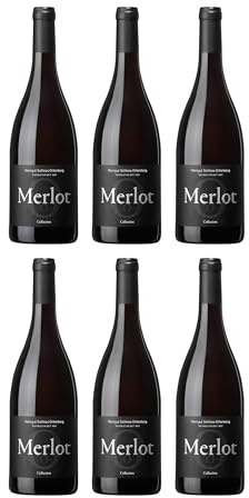 Weingut Schloss Ortenberg Collection Merlot trocken Rotwein Deutschland inkl. FeinWert E-Book (6 x 0.75 l)