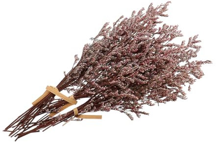 ABOOFAN 3 Bündel getrockneter Blumenstrauß trockenblumenstrauss trockenblumen straus rote Blütenstiele Mini-Trockenblumen Wohnkultur Dekor DIY-Handwerk Blumenstrauß selber Machen Haushalt