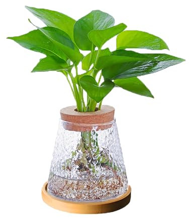 Innjoii Planting Glass Vase with Lid and Wooden Stand Bud Flower Vases Propagation Hydroponic Jars Telight Hurricane Floating Candle Holder for Centerpieces Wedding Plants Office Home Garden, 3#
