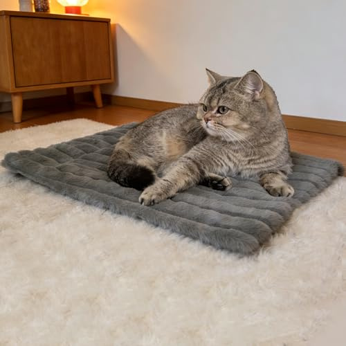 Norhogo Selbstwärmende Hundematte für Hunde, selbstheizende katzendecke Outdoor, selbstheizende katzendecke, Flauschig Selbstwärmende, elbstheizende Decke Katze & Hunde, grau, 61 x 45 cm