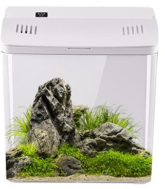 Acuario para peces Betta | Acuario Nano con Filtración Integrada | Decoración De Interior Para Oficina Salón Mesa | Hábitat para Tortugas Ranas y Medusas