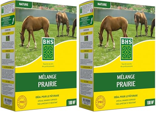 BHS GPR1 | 1kg | 100 m² | Gazon Melange Prairie | Destiné aux zones extensives qui ne nécessitent pas d’entretien | Pour le pâturage des animaux | Installation rapide (Lot de 2)