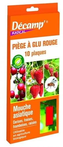 Décamp - piege a glu rouge mouche asiatique