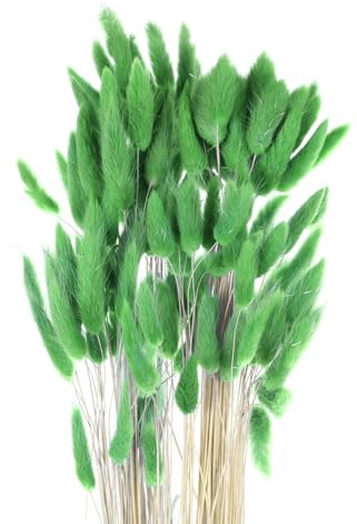 QUARKZMAN 120pcs Colas de Conejo Naturales Flores Secas 24 Mini Hierba Pampas Lagurus Ovatus Ramo para Decoración Floral de Bodas Navidad, Verde Oscuro