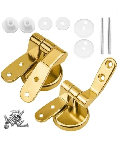 LEEQBCR Cerniere Tavoletta WC in Acciaio Inox con Chiusura Morbida - Include Connessioni (Gold)