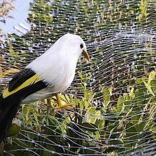 Feinmaschig Vogelnetz, Nylon Vogelschutznetz Engmaschig Stabil Obstbaumnetz, Gartennetze, Pflanzenschutznetz für Gemüse, Garten, Obst und Baum, Durchscheinend(Size:3m x 5m)