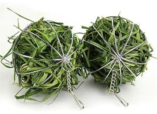 CreatsGoss Comedero de conejo de acero inoxidable para mascotas, juguetes de esfera redonda, dispensar ejercicio, bola de paja colgante para hámster de Guinea