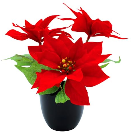 Spetebo Künstlicher Weihnachtsstern im schwarzen Topf - 27 cm - Kunstblume Poinsettie in naturgetreuer Nachbildung - Christblume Deko Pflanze Seidenblume Kunstpflanze Winterblume mit samtigen Blüten