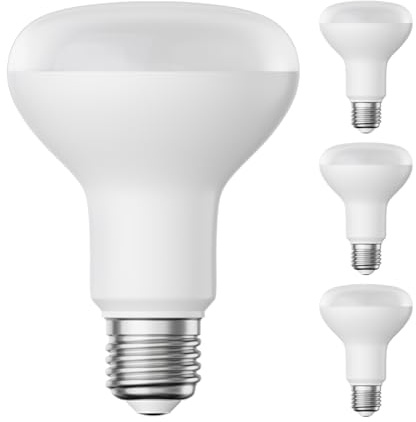 ledscom.de 4x E27 LED Leuchtmittel, R80, warmweiß (2700 K), 10 W, 935lm, matt
