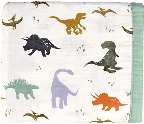 Little Jump Dinosaur Muslin Blanket Baby Quilt - Silky Soft and Breathable Crib Blanket for Daycare - Large 47 x 47 - 2 Layers Toddler Summer Blankets for Boys (Dinosaur)