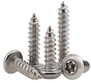 Dreneco 20 Pièces M4.8 Vis à Tête Ronde Torx Acier Inox Vis Autotaraudeuse Anti-vol avec âme de Colonne