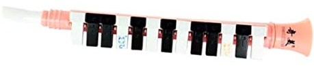 WHAMVOX Kinder Melodica 13 Tasten Blasinstrument Aus Sicherem Material Für Anfänger Musikalisches Lernspielzeug Tragbar Für Musikunterricht Und Performance
