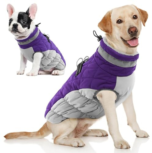 AOFITEE Wintermantel für große Hunde, Wasserdicht Hundemantel Hundejacke Mittelgroße Hund mit Geschirr, Winddichter Winter Hunde Jacket mit Reißverschluss, Warme Outdoor Hundebekleidung, L Violett