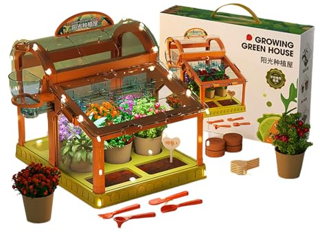 Set da giardinaggio per bambini con illuminazione a LED integrata in acrilico trasparente piccola serra per piantare casa divertente serra educativa