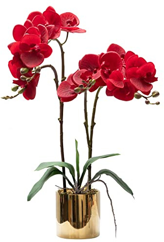 CXGS Künstliche Orchidee, Real Touch-Qualität, Kunstorchideen in Keramikvase, 50 cm, künstliche Phalaenopsis-Blumen, Kunstblumenarrangement für Tafelaufsatz, Heim- und Innendekoration, Rot