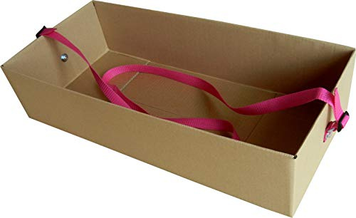 Bauchladen JGA Junggesellenabschied Promotion Party 2 Pink