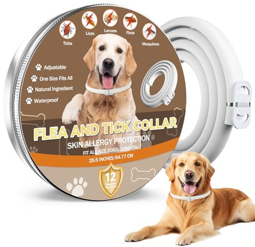 Inpumo Collar Antiparasitario para Perros, Collar Antipulgas y Garrapatas, Apto para Todos los Tamaños, Fórmula Natural Segura, Material Impermeable, Dura 12 Meses (1 Pack)