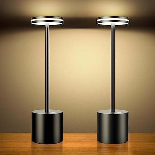 Hapfish 2 Stück LED Akku Tischlampe, 5000mAh Moderne Dimmbar Tischleuchte | Aluminium, 3 Farbtemperatur, Tischlampen Aufladbar für Indoor Outdoor Nachttisch Esstisch Bar Terrasse (Schwarz)