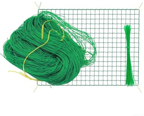 CNANRNANC Red de enrejado de jardín Sistema de soporte de red de malla de nailon para plantas de frijol, frutas, enredaderas trepadoras, crecimiento vertical (2 m x 10 m)