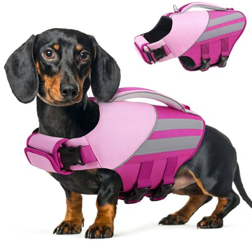 Queenmore Salvagente Cane Taglia Piccola Leggero & Regolabile Giubbotto Salvataggio Con Alta Galleggiabilità Salvagente Cani Per Kayak, Barche, Nuoto ed Emergenze, Rosa, XS