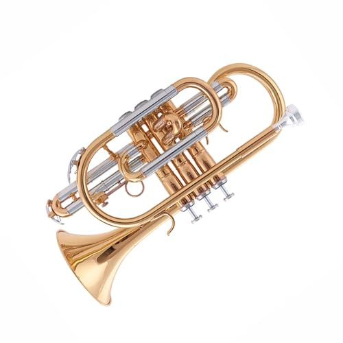 Trompete Musikinstrument Lackiertes Gold B-Tonart Professionelles Blasinstrument Aus Messing Langlebiger Klangreicher Trompetenton