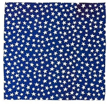Generisch Halstuch Blau mit weißen Sternen – Baumwolltuch Bandana für Damen & Herren | Stylisches Accessoire für Freizeit, Biker & Festivals