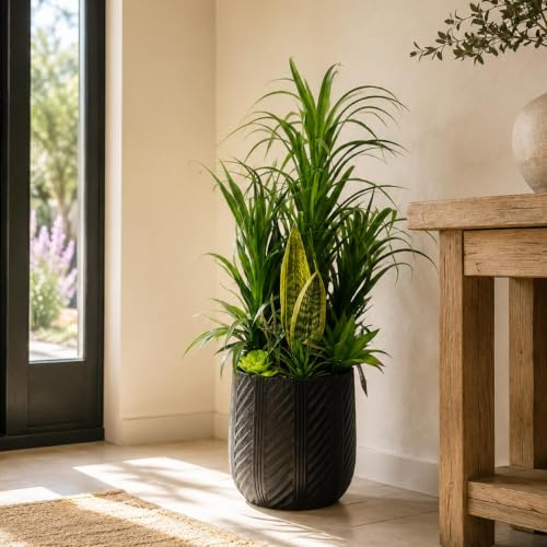 Leaf XL Commercial Artificial Plant Displays
