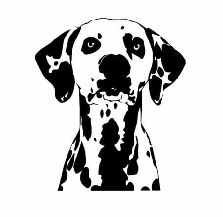GAETOYEN Autoaufkleber Hund Personalisiert Hund Tier Haustier Dalmatiner Autoaufkleber Wasserdicht Personalisierter Aufkleber Laptop Koffer LKW Motorrad Auto PVC,16Cmx14Cm Css1A12810