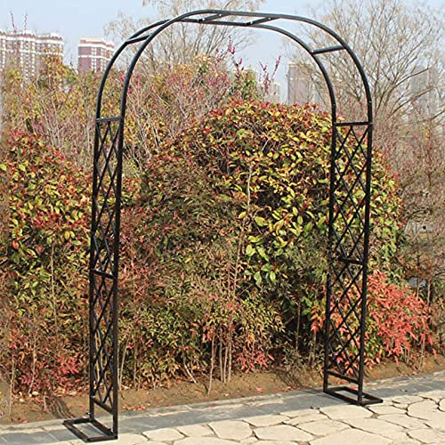 Arche de jardin en acier galvanisé de 20 mm pour plantes grimpantes, pergola d'intérieur/extérieur, treillis de support résistant aux intempéries, décoration de jardin durable
