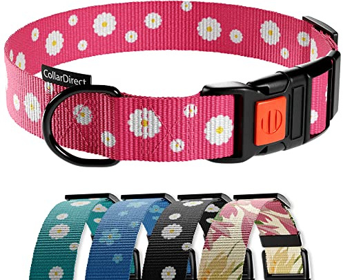 CollarDirect Hundehalsband mit Blumenmuster, Nylon, Blumendruck, verstellbar, für Hunde, kleine, mittelgroße und große Welpen (Rosa Gänseblümchen, 35-45 cm)