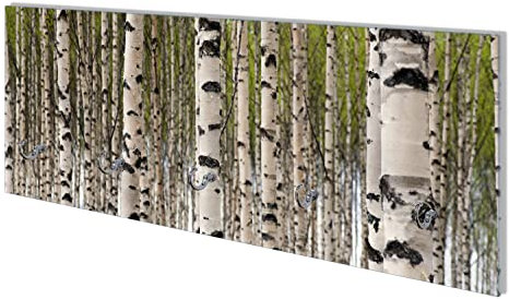 Wallario Wandgarderobe aus Glas in Größe 80 x 30 cm mit Memoboard-Funktion, Motiv: Birkenwald - Baumstämme in schwarz weiß | 5 Kleiderhaken zum Aufhängen von Jacken