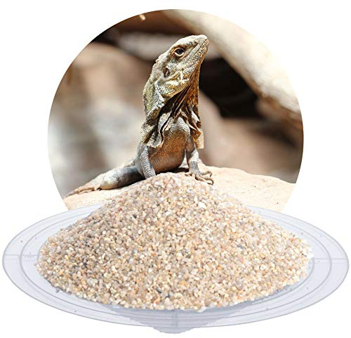 Schicker Mineral Terrariensand beige 0,8-1,6 mm 25 kg, hochrein | Kantengerundet, gewaschen und hocherhitzt, frei von organischen Stoffen, keimfrei, sofort einsetzbar, Terrariumkies
