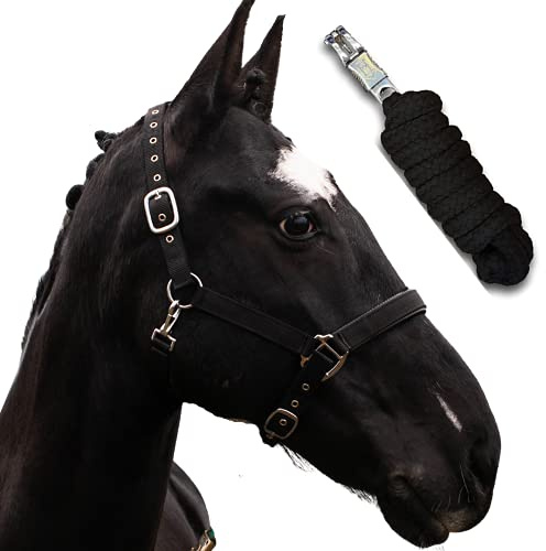 Halfter für Pferde mit Strick | Führstrick Pferd Halfter | Halfter Pony, Vollblut, Full, X-Full mit Strick (Schwarz, Cob (Vollblut))