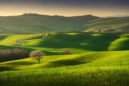 adrium Holz-Bild 60 x 40 cm: Frühling in der Toskana, sanfte Hügel, Weizen und Baum bei Sonnenuntergang. Pienza, Italien Europa.(180305266)